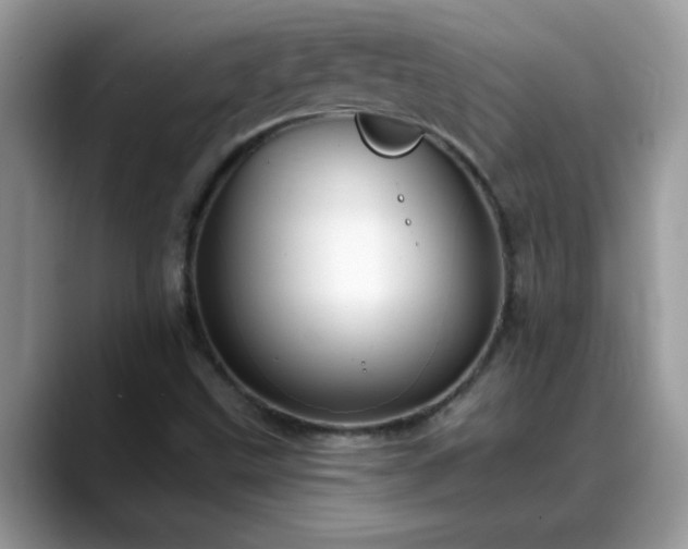 X0000088751499200706071710