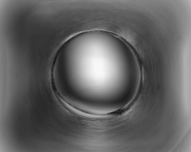 X0000088751500200706071710