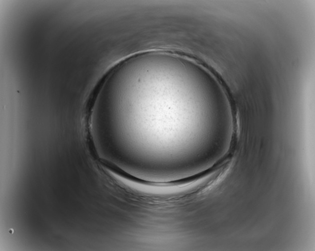 X0000088751501200706071710