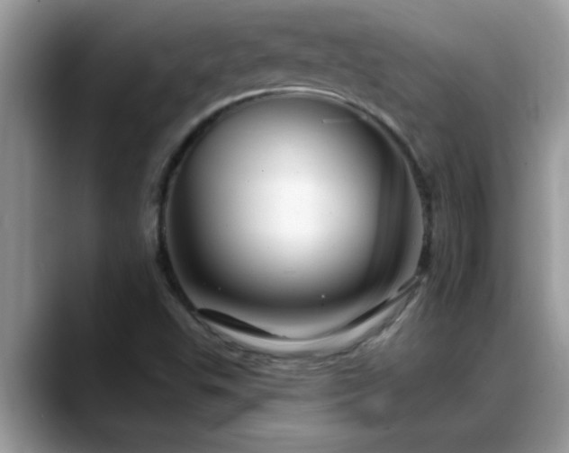 X0000088751503200706071710