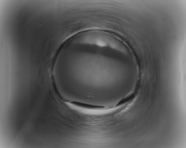 X0000088751505200706071710