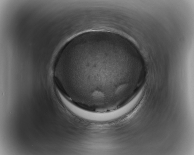 X0000088751506200706071710