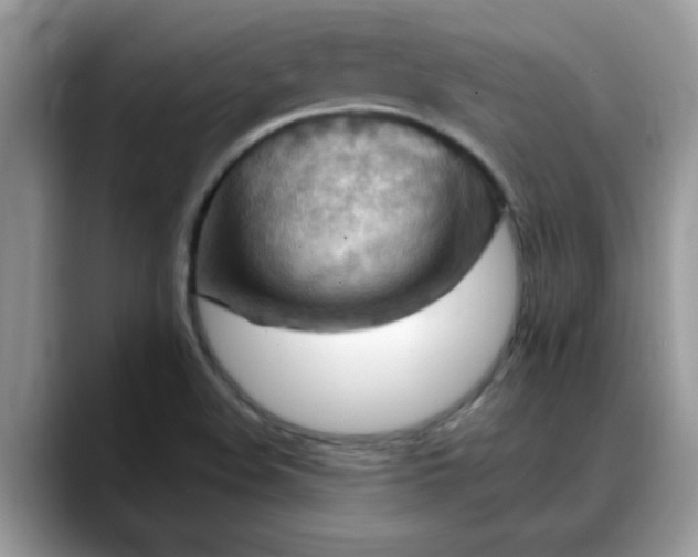 X0000088751508200706071710