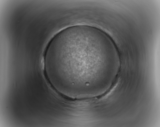 X0000088751509200706071710