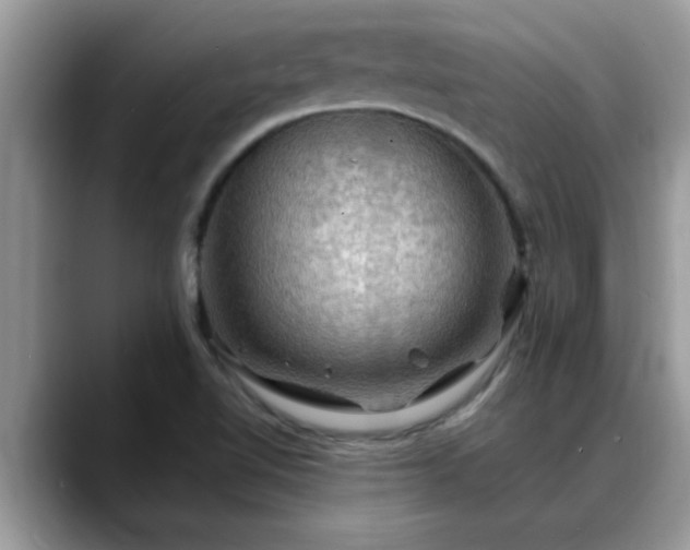 X0000088751510200706071710
