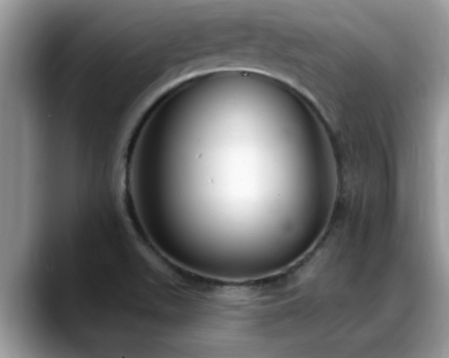 X0000088751511200706071710