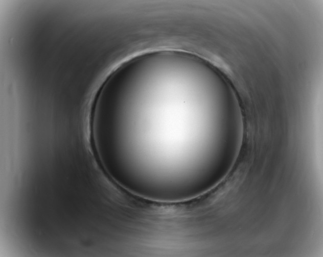 X0000088751512200706071710