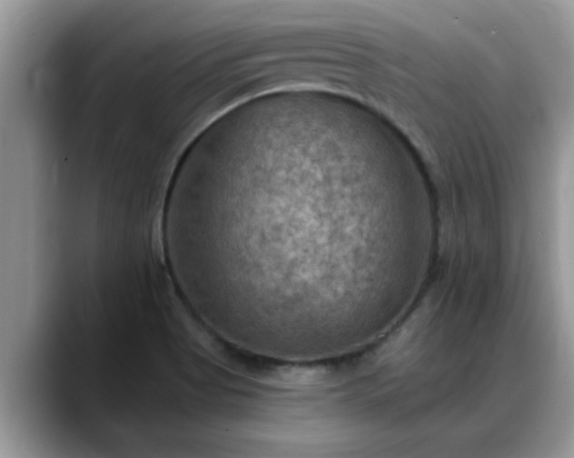 X0000088751513200706071710