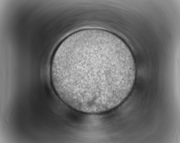 X0000088751514200706071710