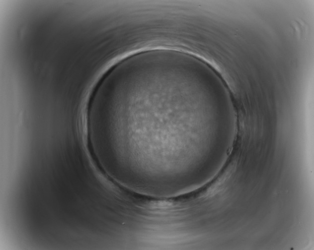 X0000088751515200706071710