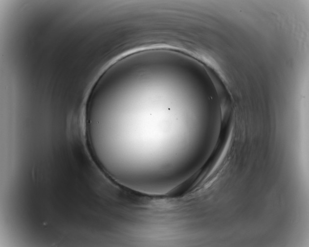 X0000088751516200706071710