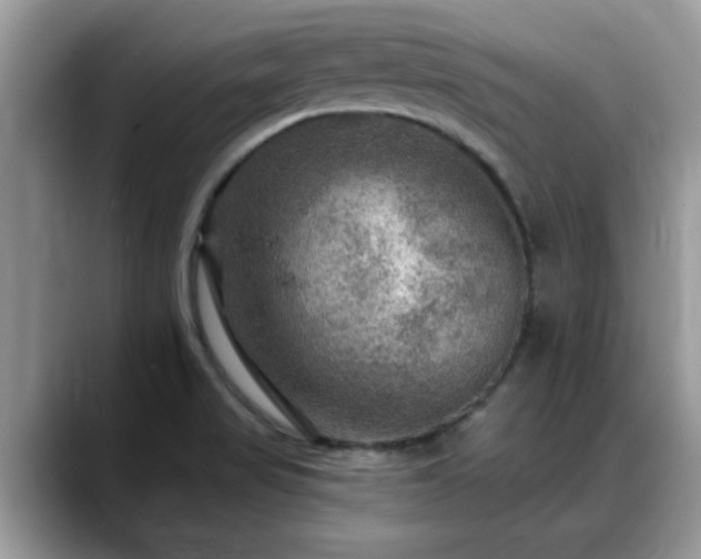 X0000088751517200706071710
