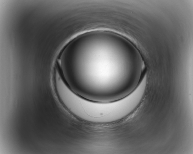 X0000088751518200706071710