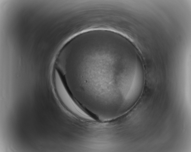 X0000088751519200706071710