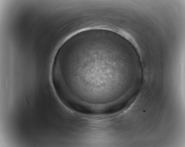 X0000088751520200706071710