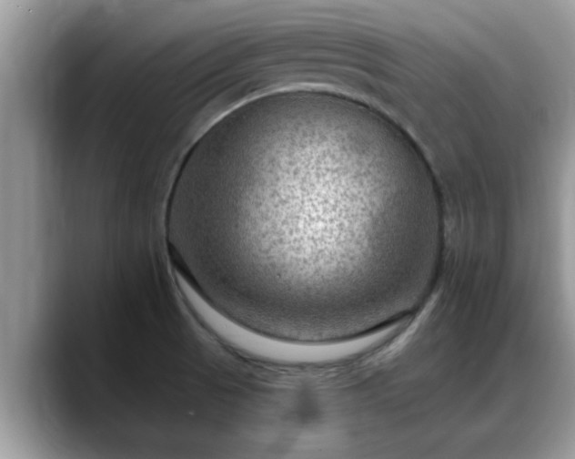 X0000088751521200706071710