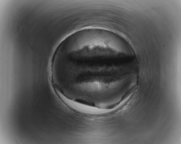 X0000088751522200706071710