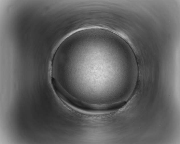 X0000088751524200706071710