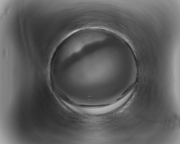 X0000088751525200706071710