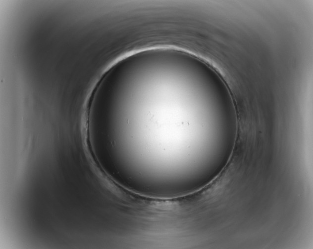 X0000088751526200706071710
