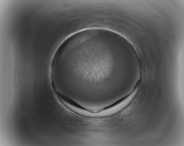 X0000088751527200706071710