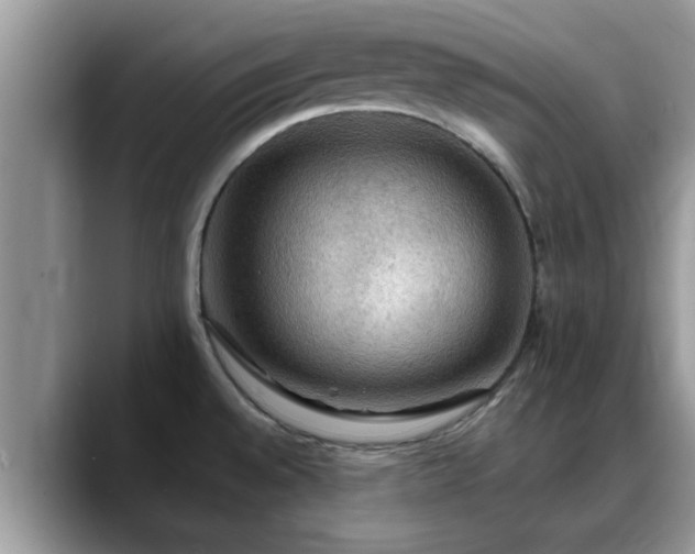 X0000088751528200706071710