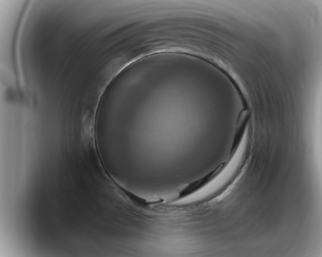 X0000088751529200706071710