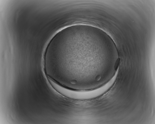 X0000088751531200706071710
