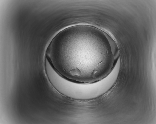 X0000088751532200706071710