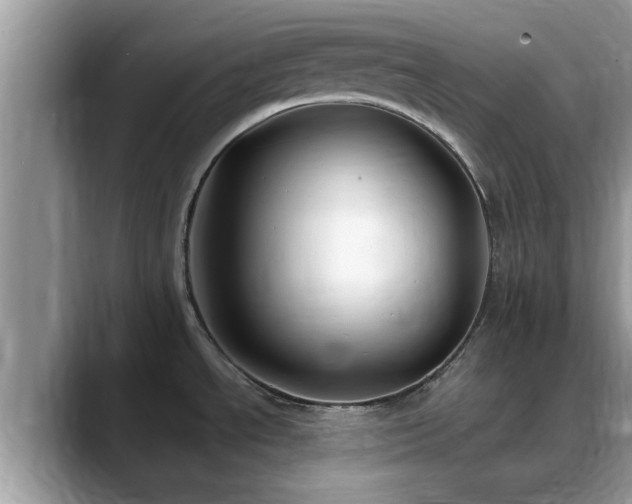 X0000088751534200706071710
