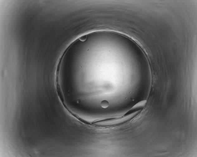 X0000088751535200706071710