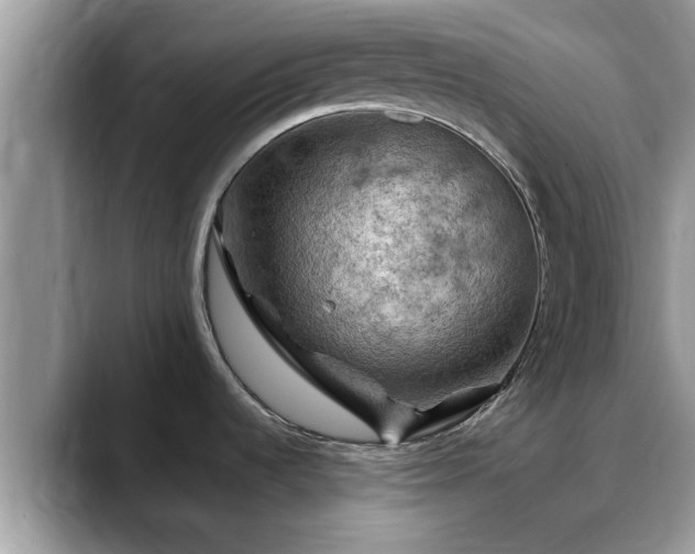 X0000088751536200706071710