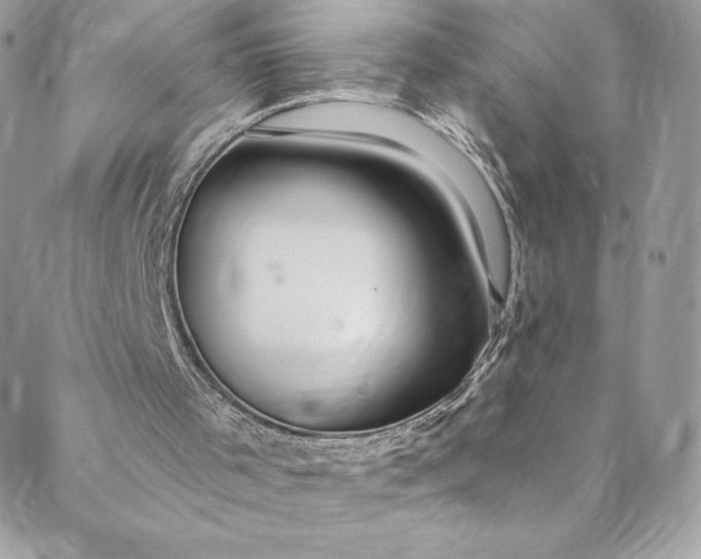 X0000088750001200706141740