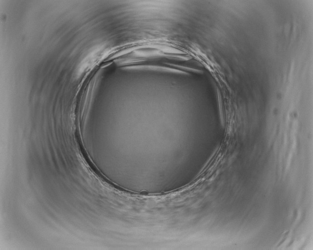 X0000088750002200706141740