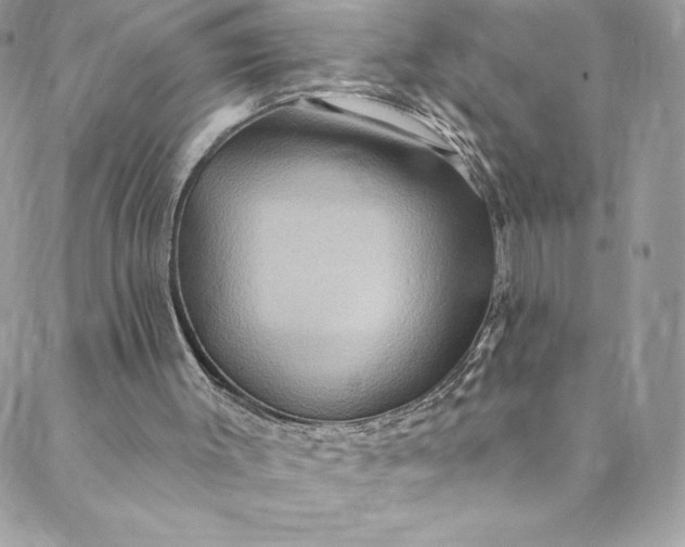 X0000088750003200706141740