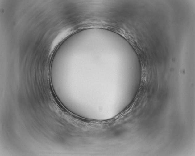 X0000088750004200706141740