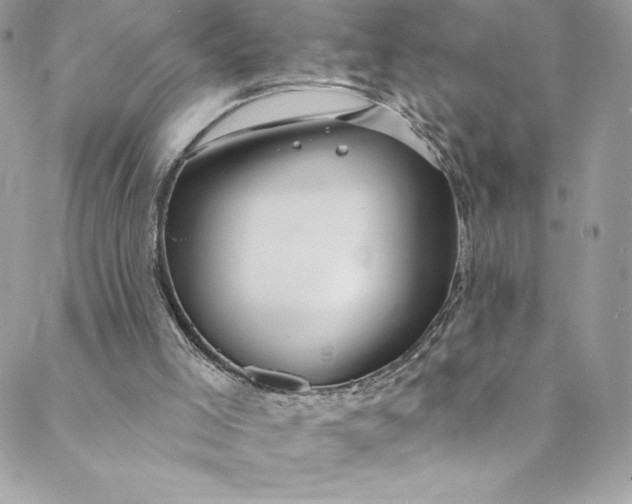 X0000088750005200706141740