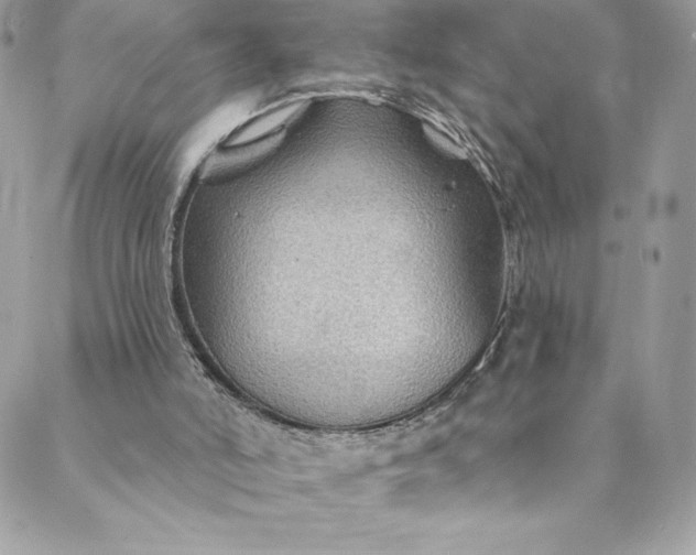 X0000088750006200706141740