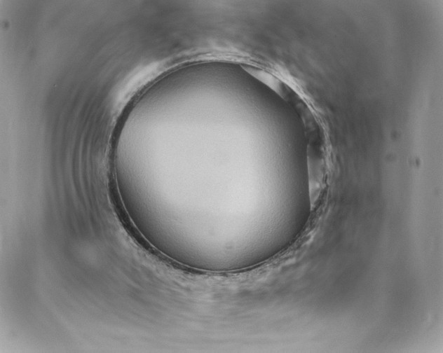 X0000088750007200706141740