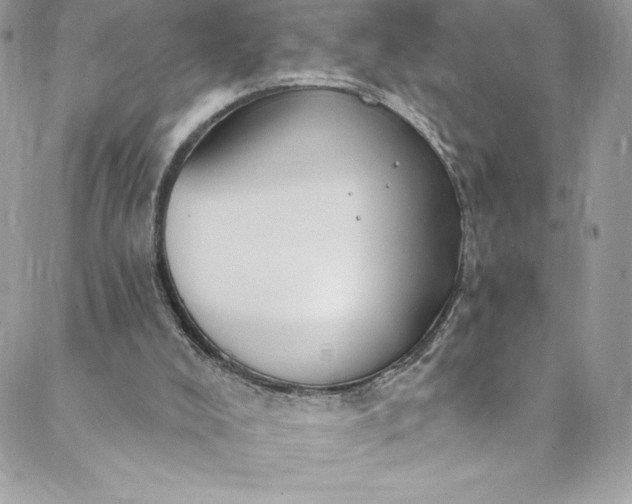 X0000088750008200706141740