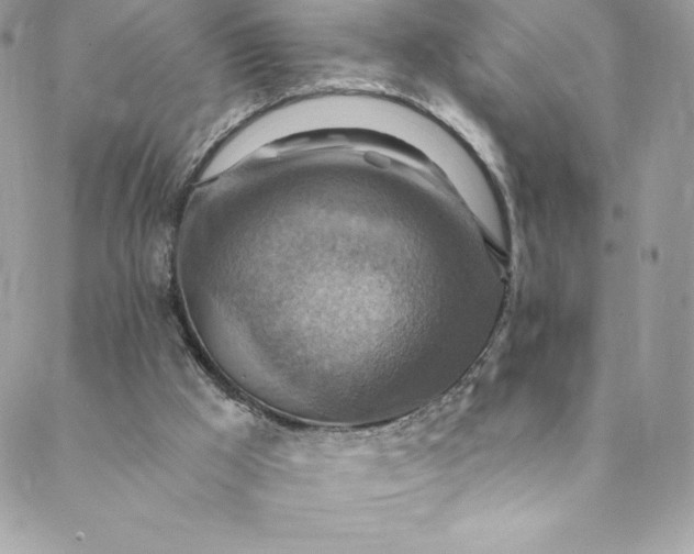 X0000088750009200706141740