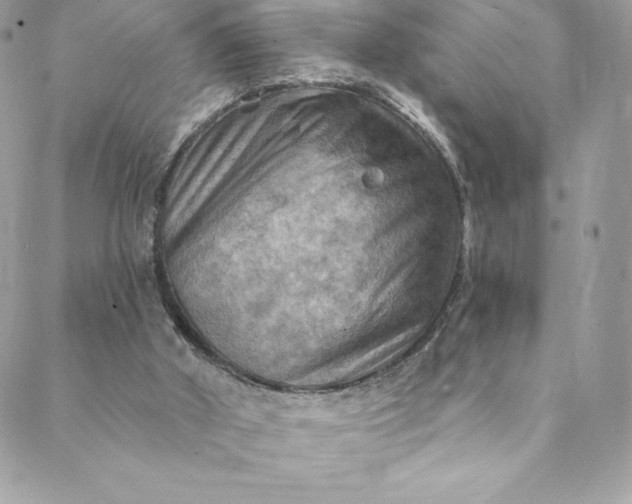 X0000088750010200706141740