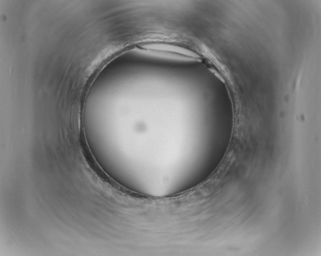 X0000088750011200706141740