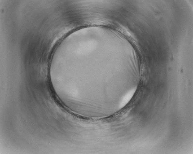 X0000088750012200706141739