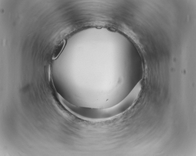 X0000088750013200706141739