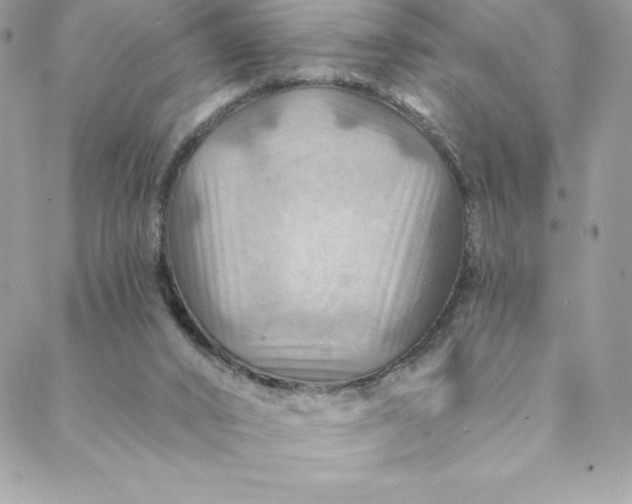 X0000088750016200706141739