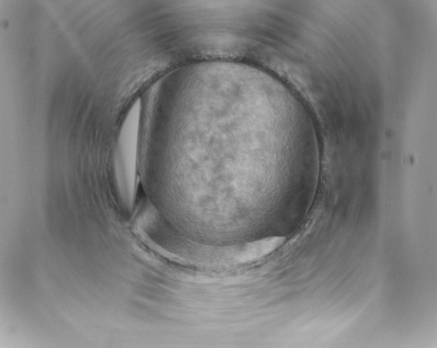 X0000088750017200706141739