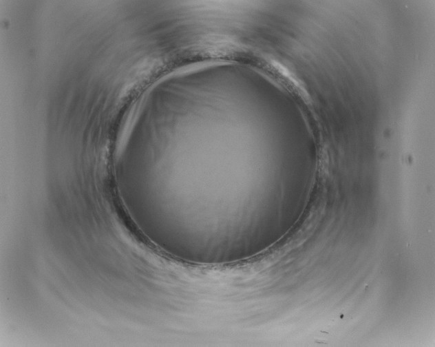 X0000088750018200706141739