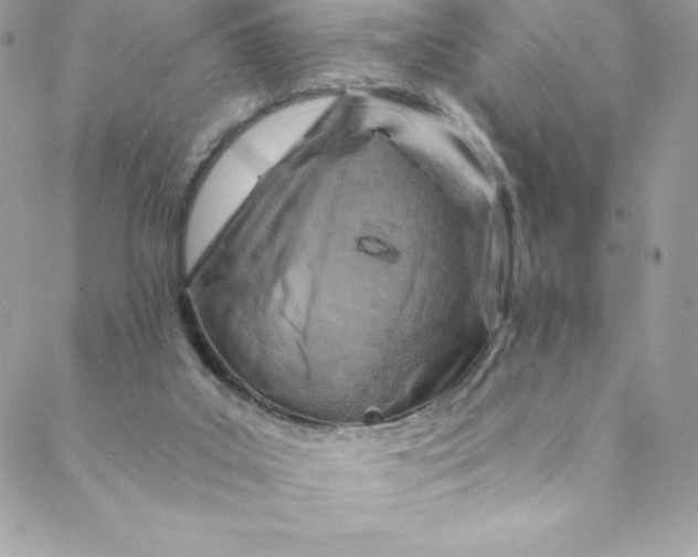 X0000088750019200706141739