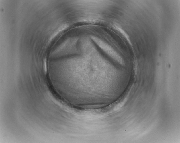 X0000088750020200706141739